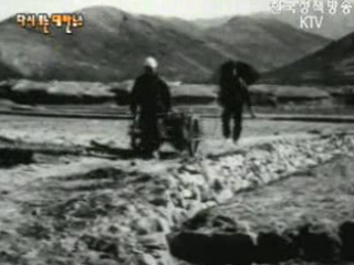 농사용 손수레 보급(`62)