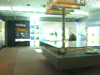 여수국제회의 박람회 유치 서막