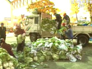 고품질 농산물 공급