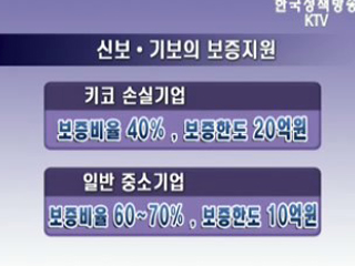  '키코' 손실기업 신속 지원