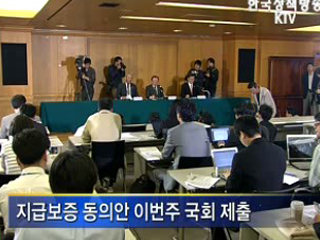 전방위 대책, 시장불안 해소 기대