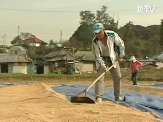 정부, 쌀 11만톤 '추가 매입'