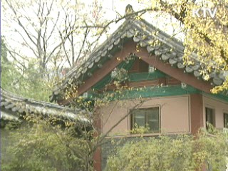 오늘 찬바람 불고 '쌀쌀'···주말 기온 '뚝'