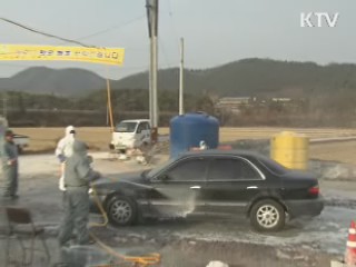 구제역 위기경보  최고단계 '심각' 격상