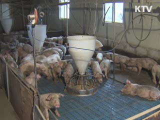 외국여행객 입국심사 때 소독 강화