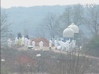 "가축 매몰지 지하수 오염 확인 안돼"