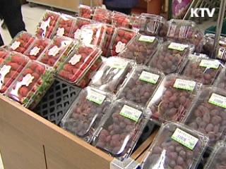 정부, 서비스·가공식품 물가 안정 총력