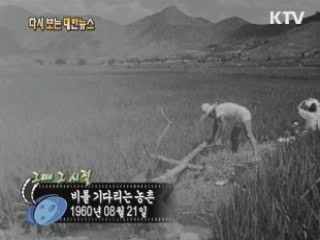 비를 기다라는 농촌(60')