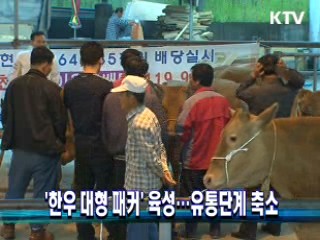 '한우 대형 패커' 육성···유통단계 축소