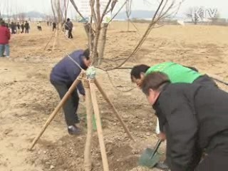 '남산 57배' 나무 4천만 그루 심는다