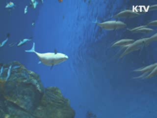 여수엑스포, 누워서 즐기는 '한국관' 인기