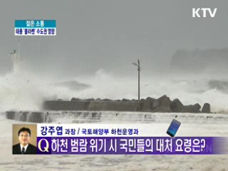 현재 태풍 특보 상황은? [젊은 소통]