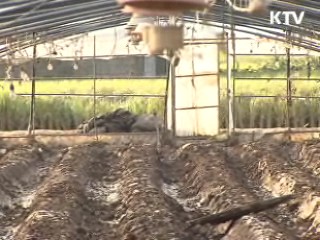 태풍 피해 복구작업 계속···시간 걸릴 듯