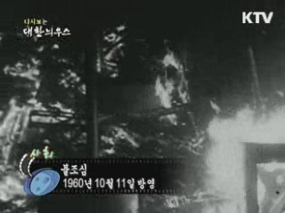 다시보는 대한늬우스 (60.10.11)