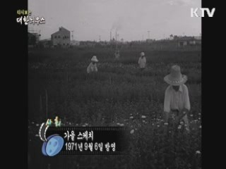 다시보는 대한늬우스 (71.09.06)