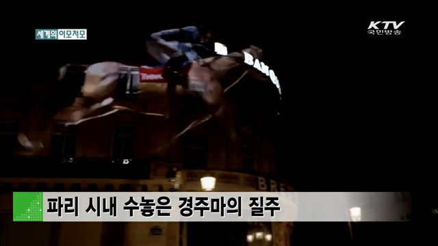 파리 시내 수놓은 경주마의 질주 [세계 이모저모]