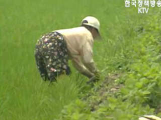 농촌 `구조 개선`