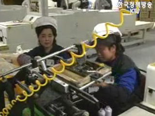 개성공단 관련 기업인 설문조사 결과