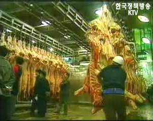 “美쇠고기 출생기록없다” - 수입여부 불투명