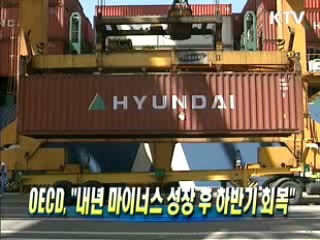 OECD "내년 마이너스 성장 후 하반기 회복"