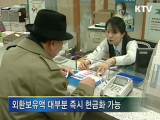단기외채 상환 '문제 없다'