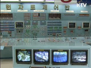 수출용 중소형원자로, 2011년 조기 개발