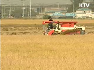 쌀 직불금, 경작시 1만㎡ 이상 지급