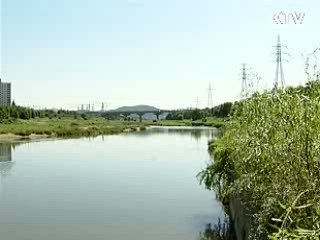 생태하천 조성사업, 수질개선 효과 커