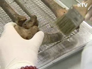 6·25 전사자 3인 유해 '가족 품으로'