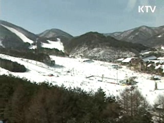 정부 "2018년 평창 동계올림픽 유치 총력"