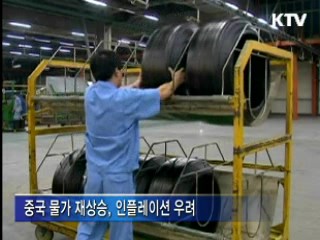 "개도국 물가 상승세, 실물경제 위험요인"