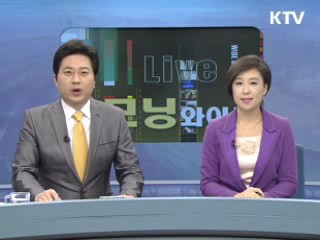 모닝 와이드 (88회)