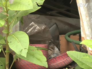 광주시, '도심 폐가' 대대적 정비