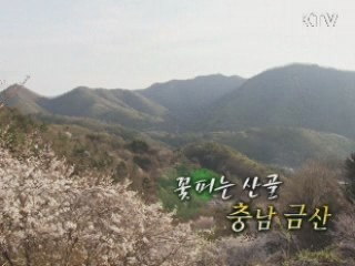 꽃피는 산골, 충남 금산