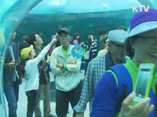 아쿠아리움·로봇관·한국관 인기 폭발