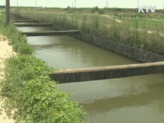 양파·마늘 비축물량 '탄력공급'