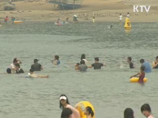 휴가철 소비자 속인 펜션·렌터카 적발