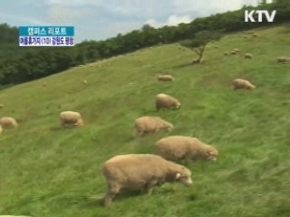 최고 휴양지 '평창' [캠퍼스 리포트]