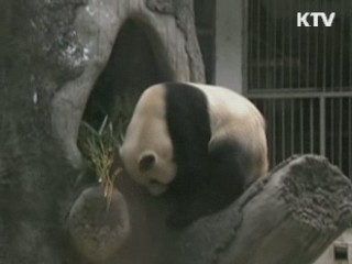 개 구하려다 얼음 호수에 '풍덩'