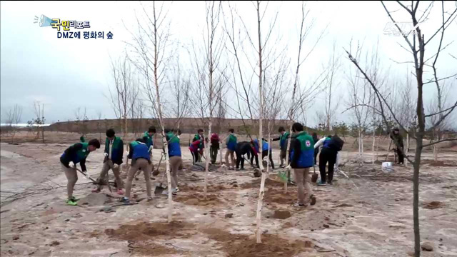DMZ에 평화·생명·미래의 숲 조성