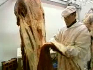 美, 쇠고기 검역 기술적 협의 요청