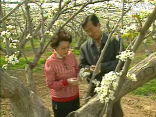 베이비붐세대 절반 이상 , 노후를 <전원>에서