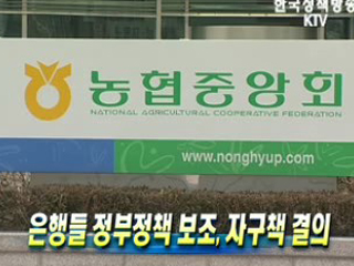 은행들 정부정책 보조, 자구책 결의