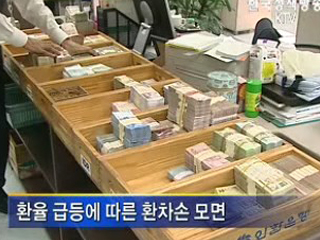 '키코' 피해업체 외화대출 허용