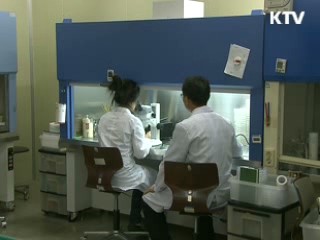 되살아나는 '우리 밀' [현장포커스]