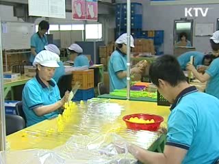 밀폐봉으로 세계를 감싸다, 대성하이텍 [이것이 최고]