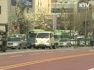 목표 관리제 도입, 청정에너지 확대