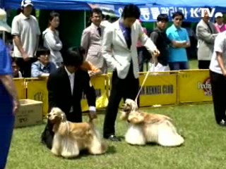 더불어 사는 세상, 반려동물 [문화광장]