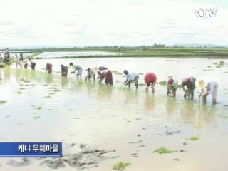 아프리카 국가별 '맞춤형 영농' 전수