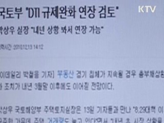 DTI 규제완화 연장 검토 안해